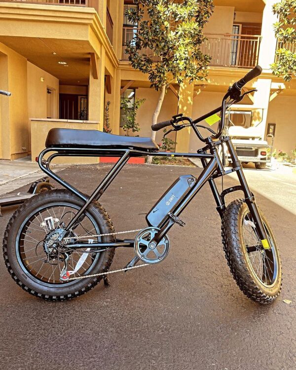 SWFT Zip Fat Tire Electric Bike