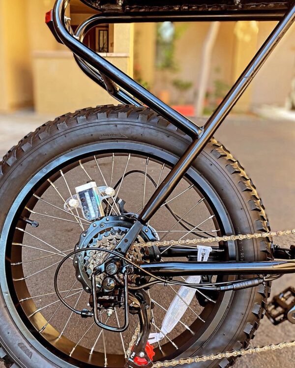 SWFT Zip Fat Tire Electric Bike